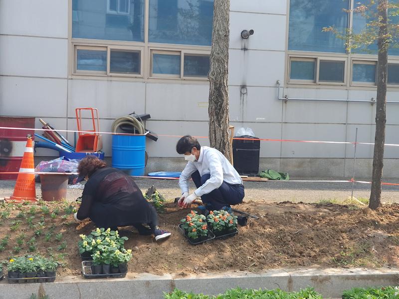 [크기변환]초화3.jpg 이미지